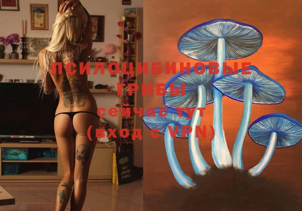 MDMA Premium VHQ Бородино