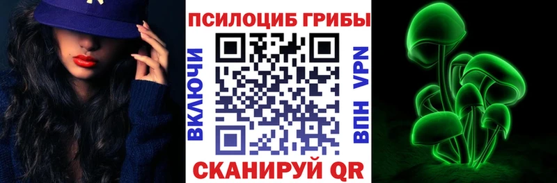 Купить где  Тбилисская  Галлюциногенные грибы MAGIC MUSHROOMS 