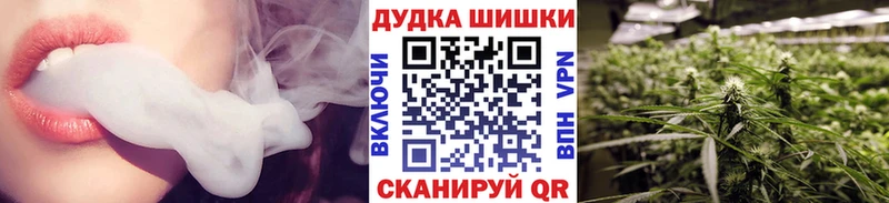 Купить  Тбилисская  Каннабис план 